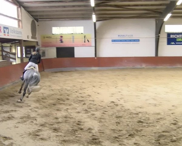 Reitturnier Viernheim 2024