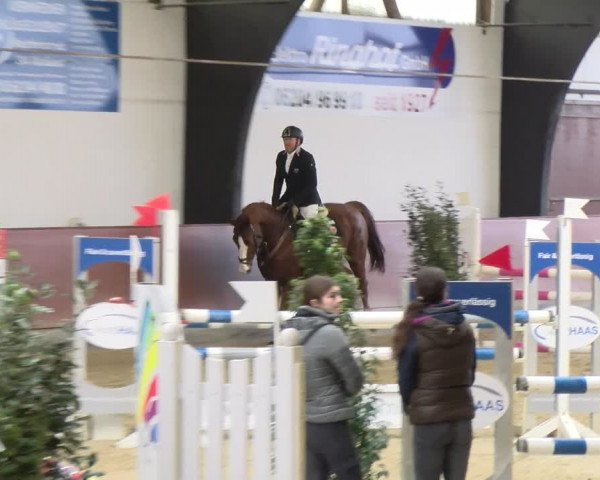 Reitturnier Viernheim 2024
