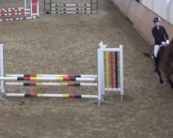 Reitturnier Datteln 2024