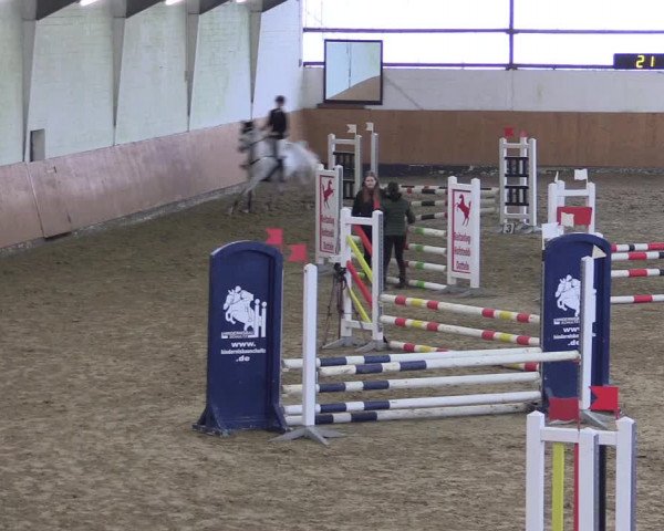 Reitturnier Datteln 2024