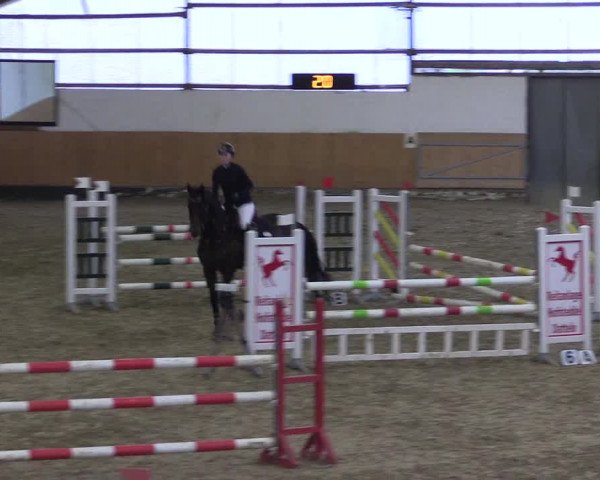 Reitturnier Datteln 2024