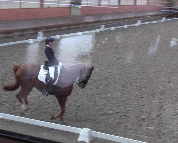 Dressurturnier mit Hallenchampionat Tremsdorf, Eichenhof 2021