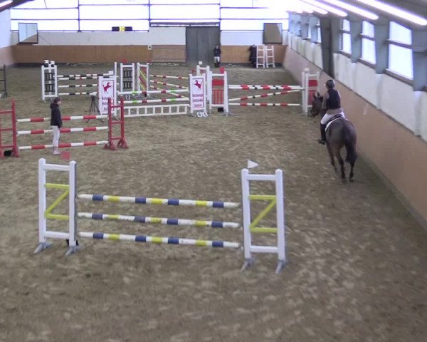 Reitturnier Datteln 2024