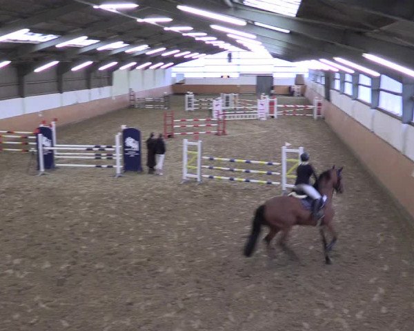 Reitturnier Datteln 2024