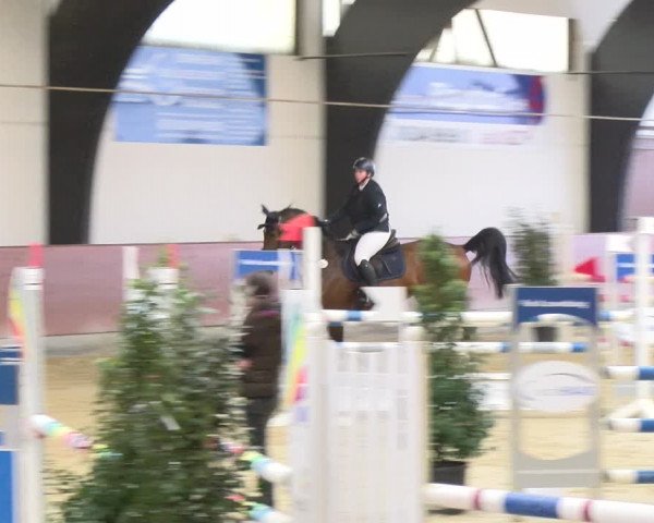 Reitturnier Viernheim 2024