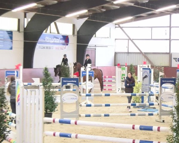 Reitturnier Viernheim 2024