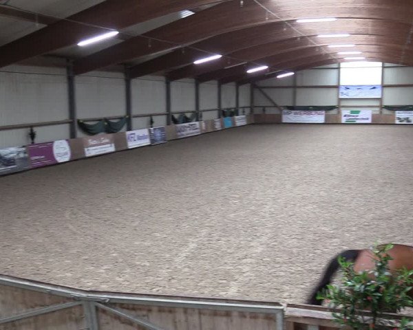 Reitturnier Hesel 2024
