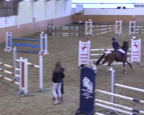 Reitturnier Datteln 2024