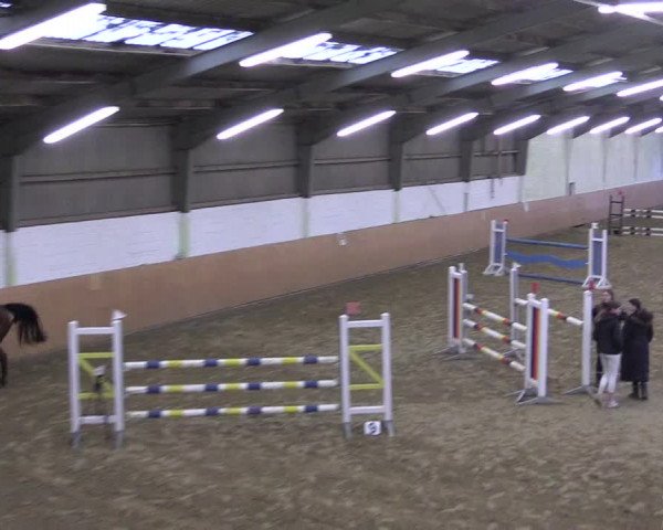 Reitturnier Datteln 2024