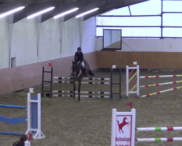 Reitturnier Datteln 2024