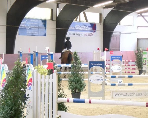 Reitturnier Viernheim 2024