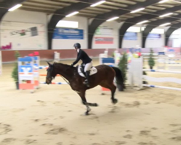 Reitturnier Viernheim 2024