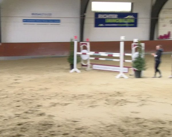 Reitturnier Viernheim 2024