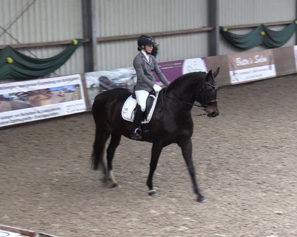 Reitturnier Hesel 2024