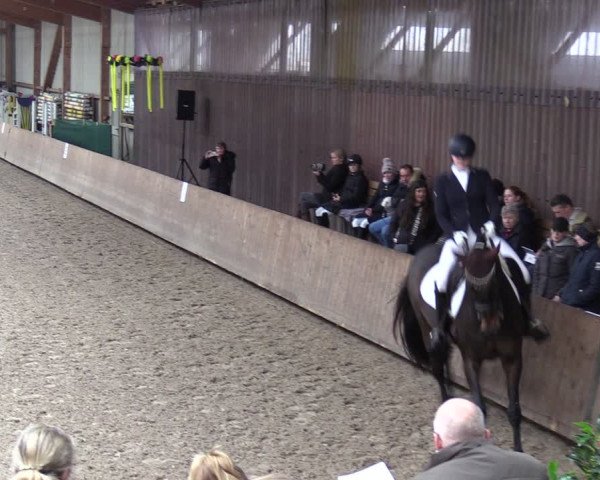 Reitturnier Hesel 2024