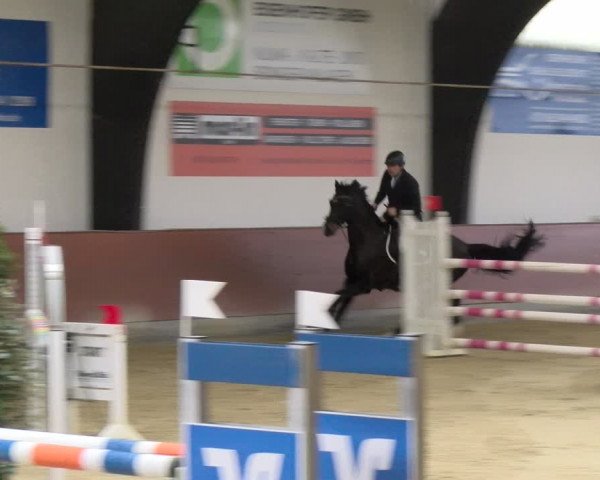 Reitturnier Viernheim 2024