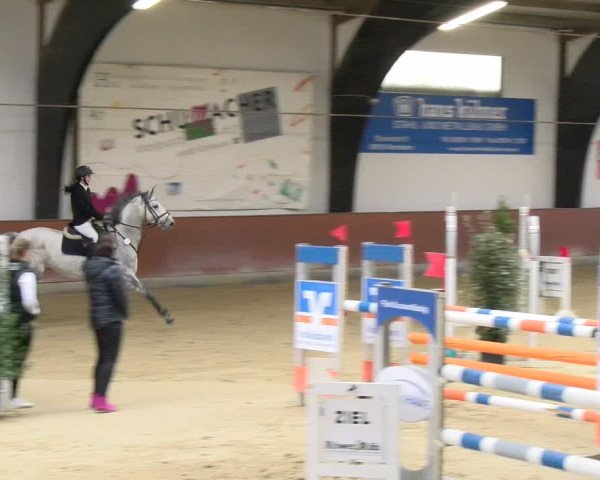 Reitturnier Viernheim 2024