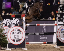 jumper Tobajo Carin (Norwegian Warmblood, 2014, from Azteca VDL)