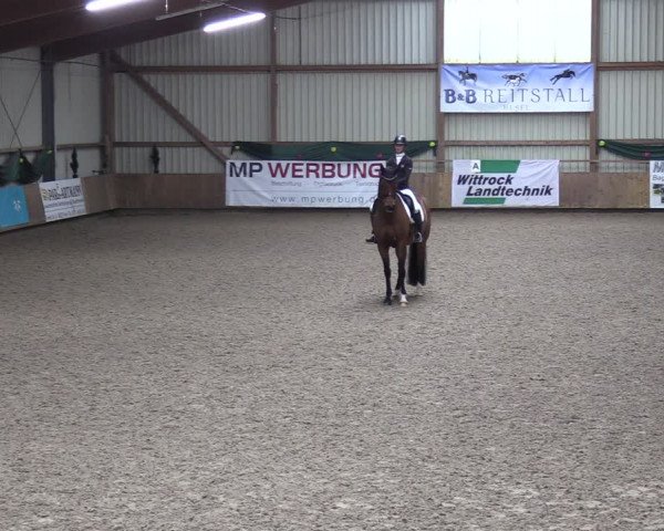 Reitturnier Hesel 2024