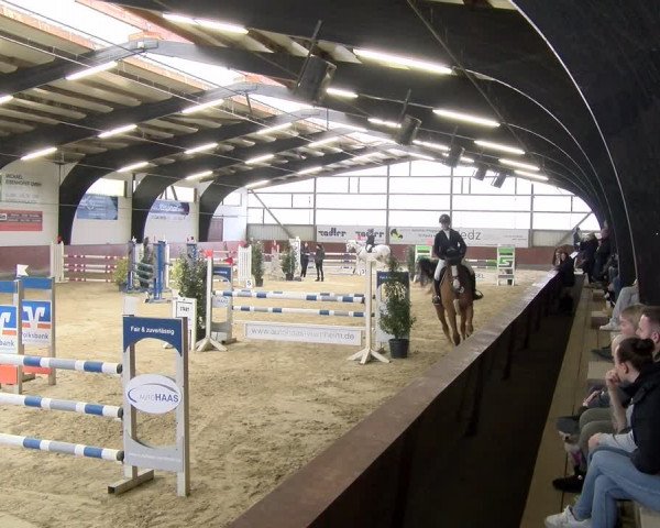 Reitturnier Viernheim 2024