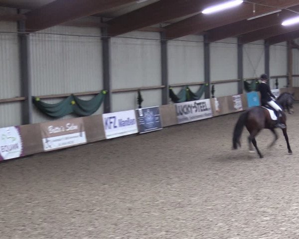 Reitturnier Hesel 2024