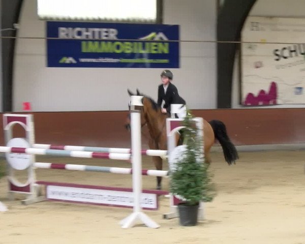 Reitturnier Viernheim 2024