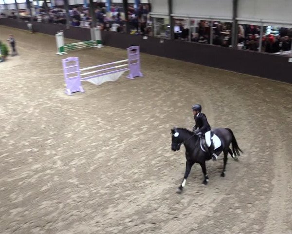 23. Legdener Ponymeeting 2021