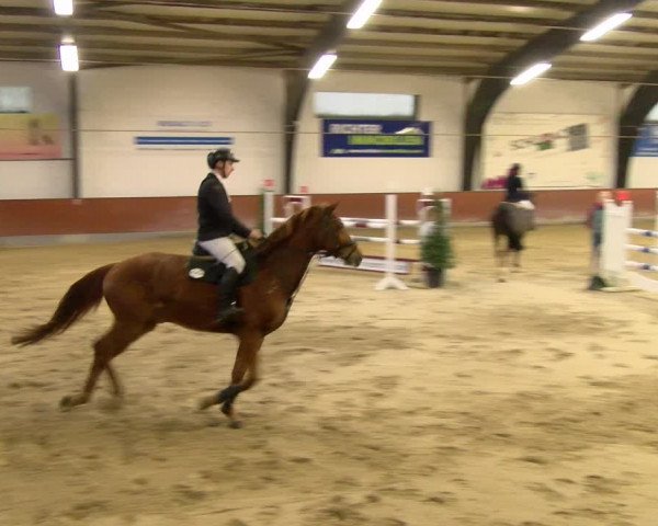 Reitturnier Viernheim 2024