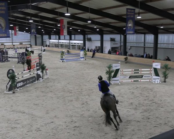 Reitturnier Borken 2024