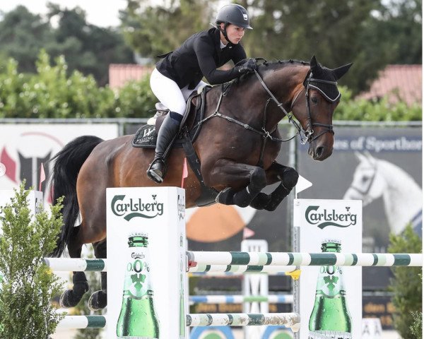 jumper Comme Il Beau 2 (Hanoverian, 2016, from Comme il Faut)