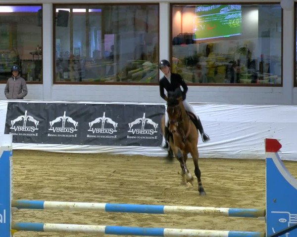 Reitturnier Borken 2024