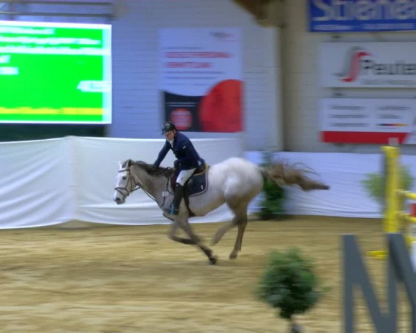 Reitturnier Borken 2024