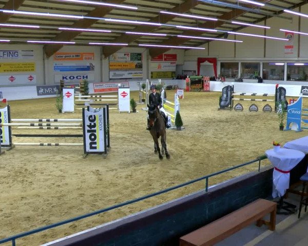 Reitturnier Borken 2024