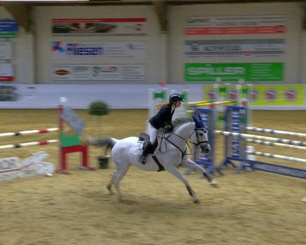Reitturnier Borken 2024