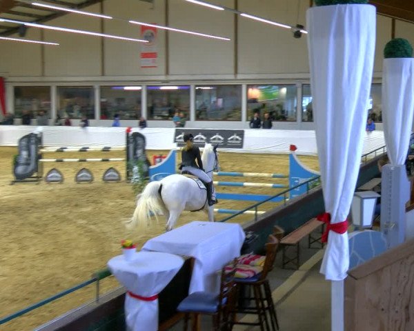 Reitturnier Borken 2024