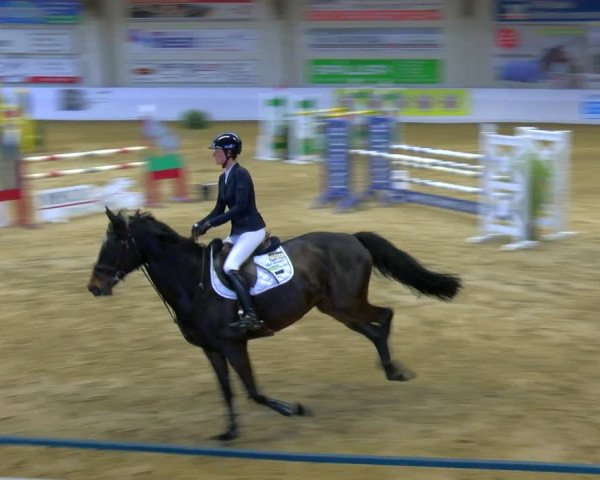 Reitturnier Borken 2024