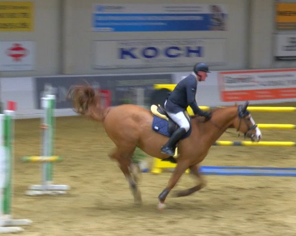 Reitturnier Borken 2024