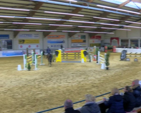 Reitturnier Borken 2024
