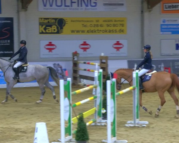 Reitturnier Borken 2024