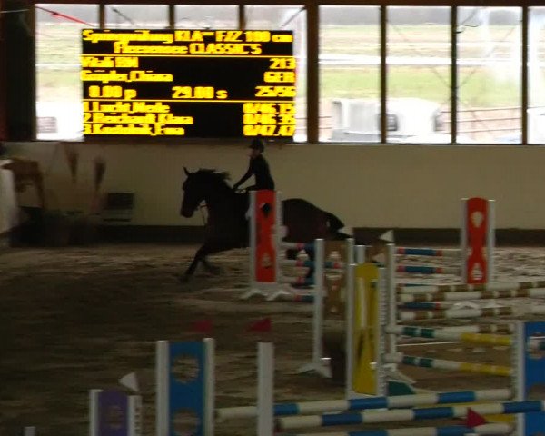 Reitturnier Fleesensee Classic´s 2024