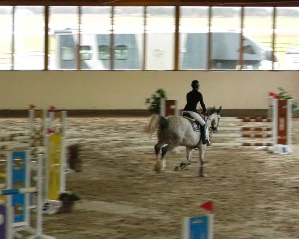 Reitturnier Fleesensee Classic´s 2024