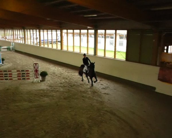 Reitturnier Fleesensee Classic´s 2024