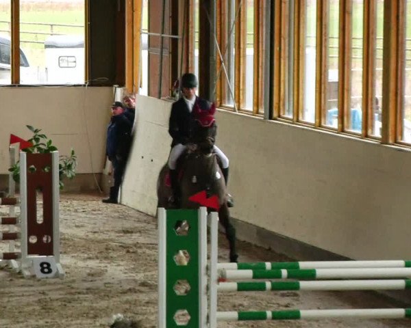 Reitturnier Fleesensee Classic´s 2024