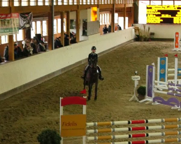 Reitturnier Fleesensee Classic´s 2024