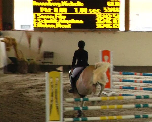Reitturnier Fleesensee Classic´s 2024