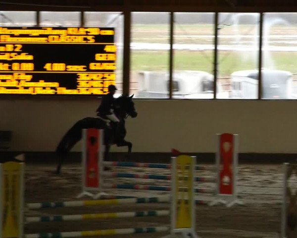 Reitturnier Fleesensee Classic´s 2024