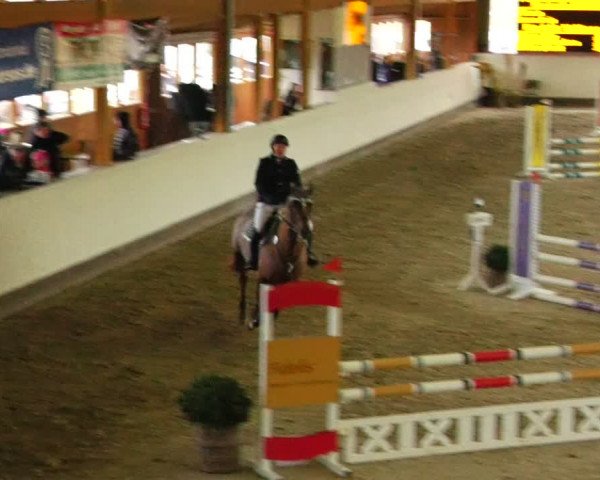 Reitturnier Fleesensee Classic´s 2024