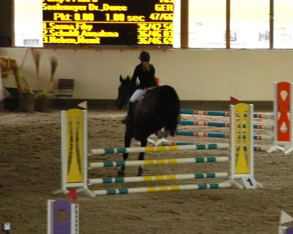 Reitturnier Fleesensee Classic´s 2024