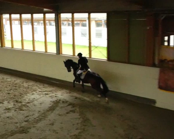 Reitturnier Fleesensee Classic´s 2024