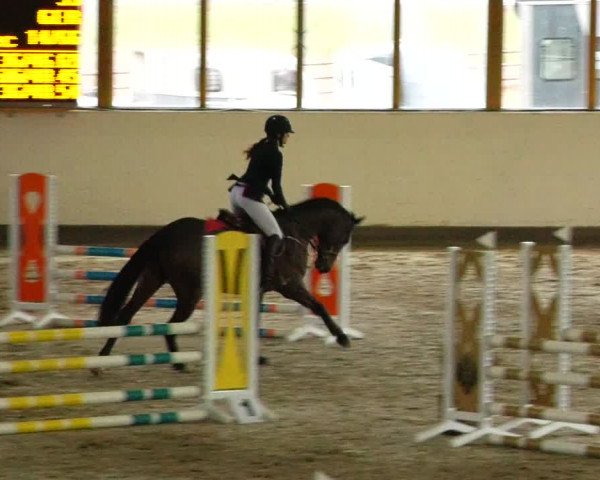 Reitturnier Fleesensee Classic´s 2024